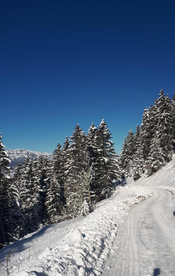Vvf Les 7 Laux Massif De Belledonne Hotel Prapoutel Luaran gambar